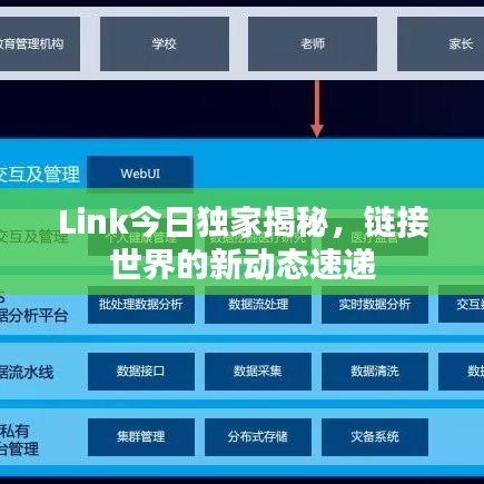Link今日独家揭秘，链接世界的新动态速递
