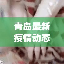 青岛最新疫情动态，揭秘真相与应对良方