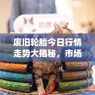 废旧轮胎今日行情走势大揭秘，市场深度分析，未来趋势展望！