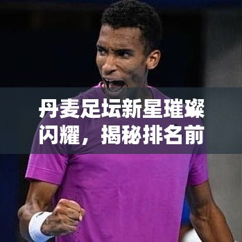 丹麦足坛新星璀璨闪耀，揭秘排名前十新星的力量与风采