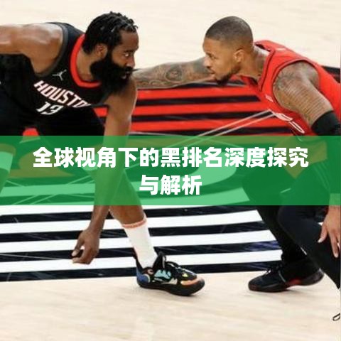 全球视角下的黑排名深度探究与解析