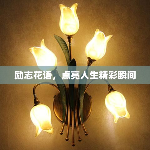 励志花语，点亮人生精彩瞬间