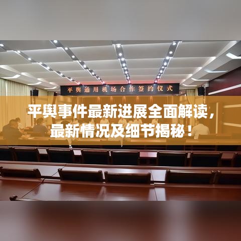 平舆事件最新进展全面解读，最新情况及细节揭秘！