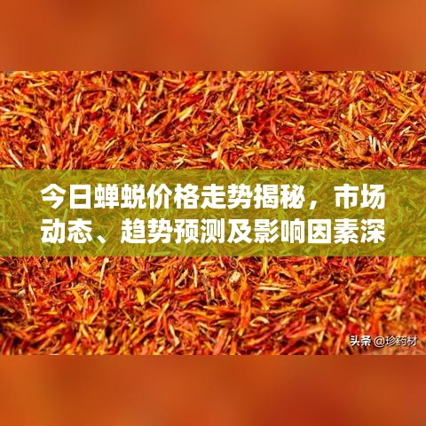 今日蝉蜕价格走势揭秘，市场动态、趋势预测及影响因素深度解读