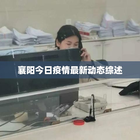 襄阳今日疫情最新动态综述