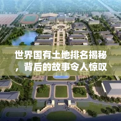 2025年5月12日 第29页