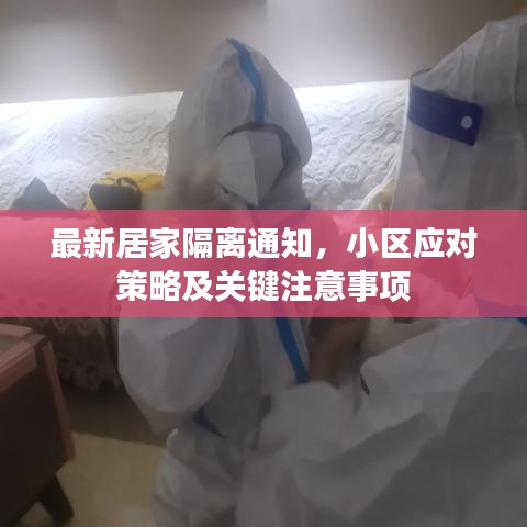 最新居家隔离通知，小区应对策略及关键注意事项