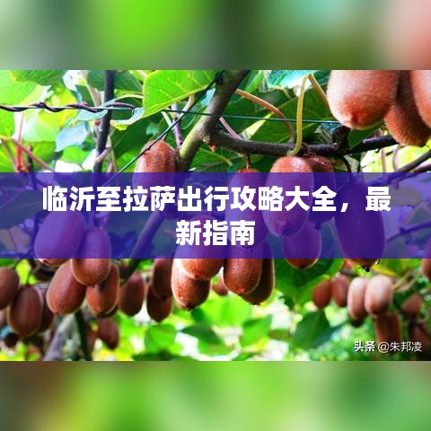 临沂至拉萨出行攻略大全，最新指南