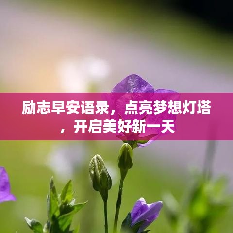 励志早安语录，点亮梦想灯塔，开启美好新一天