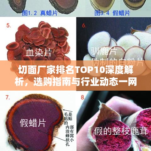 切面厂家排名TOP10深度解析，选购指南与行业动态一网打尽！