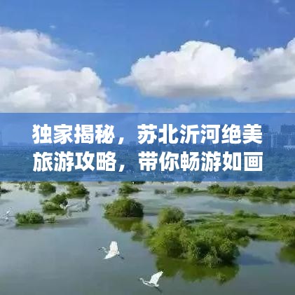 独家揭秘，苏北沂河绝美旅游攻略，带你畅游如画风光！