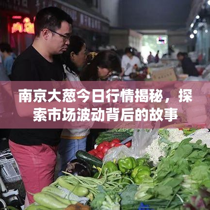 南京大葱今日行情揭秘，探索市场波动背后的故事