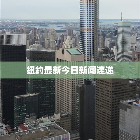 纽约最新今日新闻速递