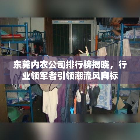 东莞内衣公司排行榜揭晓，行业领军者引领潮流风向标