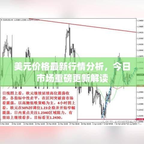 美元价格最新行情分析，今日市场重磅更新解读