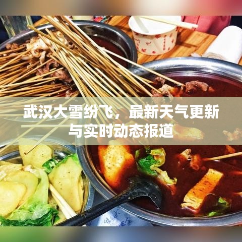 武汉大雪纷飞，最新天气更新与实时动态报道