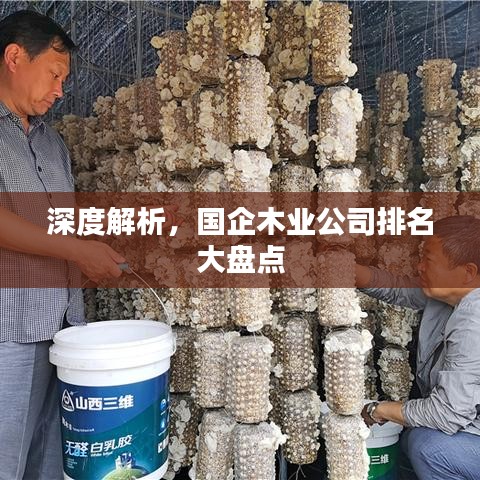 深度解析，国企木业公司排名大盘点