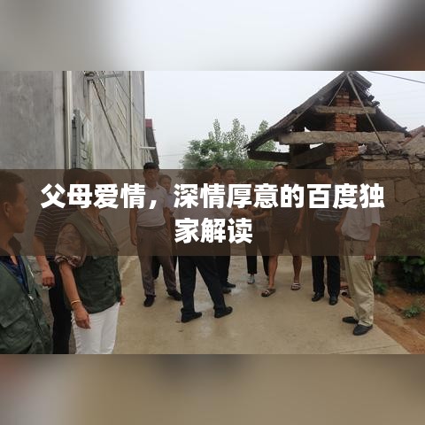 父母爱情，深情厚意的百度独家解读