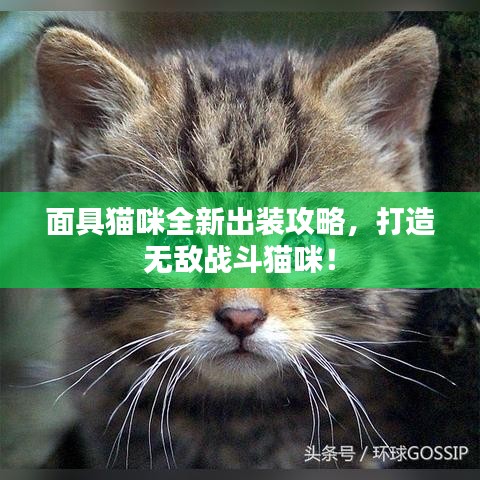 2025年5月13日 第12页