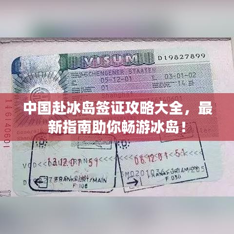 中国赴冰岛签证攻略大全，最新指南助你畅游冰岛！