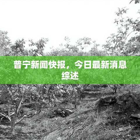 普宁新闻快报，今日最新消息综述
