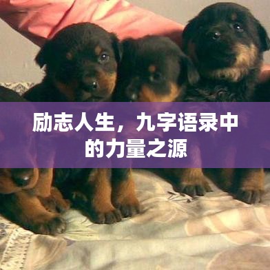 励志人生，九字语录中的力量之源