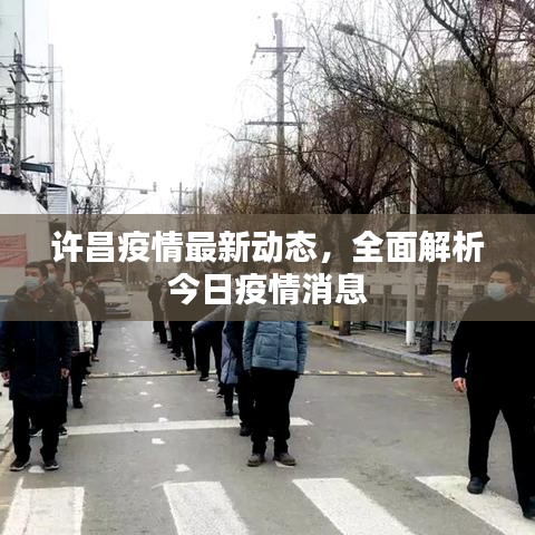 许昌疫情最新动态，全面解析今日疫情消息