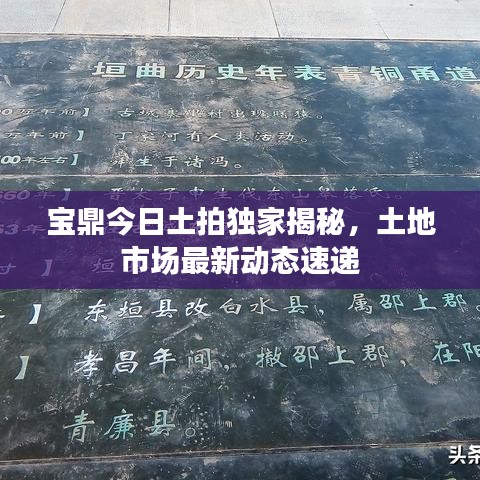 宝鼎今日土拍独家揭秘，土地市场最新动态速递