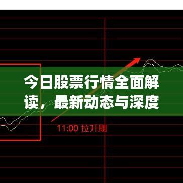 今日股票行情全面解读，最新动态与深度分析