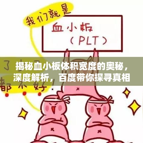 揭秘血小板体积宽度的奥秘，深度解析，百度带你探寻真相