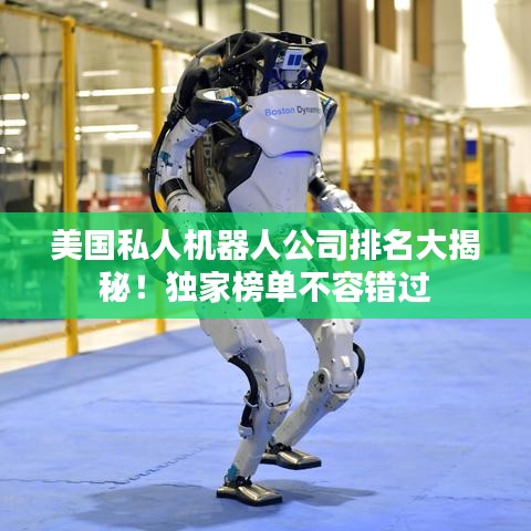 美国私人机器人公司排名大揭秘！独家榜单不容错过