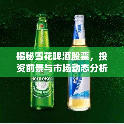 揭秘雪花啤酒股票，投资前景与市场动态分析，百度收录热门标题！
