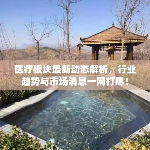 医疗板块最新动态解析，行业趋势与市场消息一网打尽！