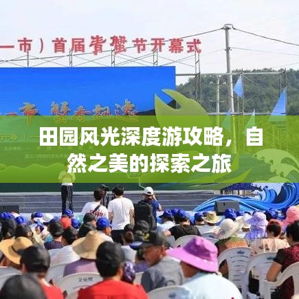 田园风光深度游攻略，自然之美的探索之旅