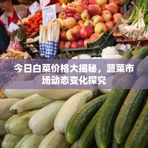 今日白菜价格大揭秘，蔬菜市场动态变化探究