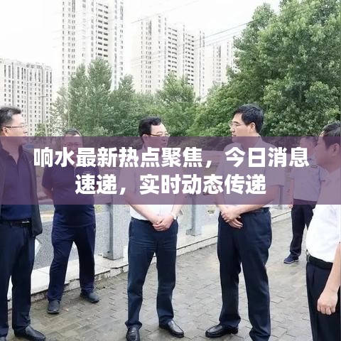响水最新热点聚焦，今日消息速递，实时动态传递