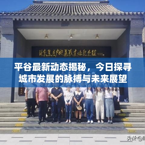 平谷最新动态揭秘，今日探寻城市发展的脉搏与未来展望