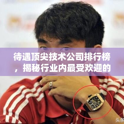 待遇顶尖技术公司排行榜，揭秘行业内最受欢迎的佼佼者