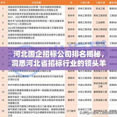 河北国企招标公司排名揭秘，洞悉河北省招标行业的领头羊