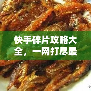快手碎片攻略大全，一网打尽最新秘籍！