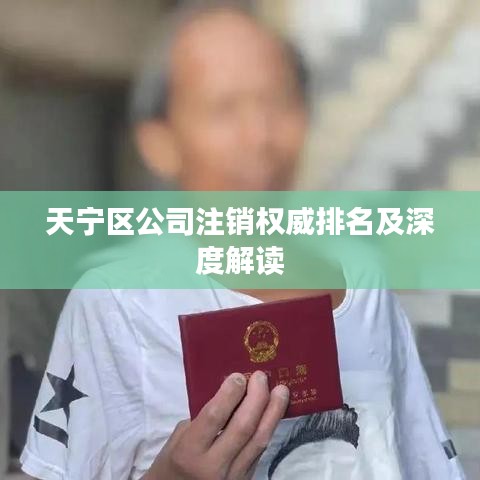 天宁区公司注销权威排名及深度解读