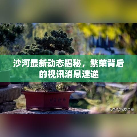 沙河最新动态揭秘，繁荣背后的视讯消息速递