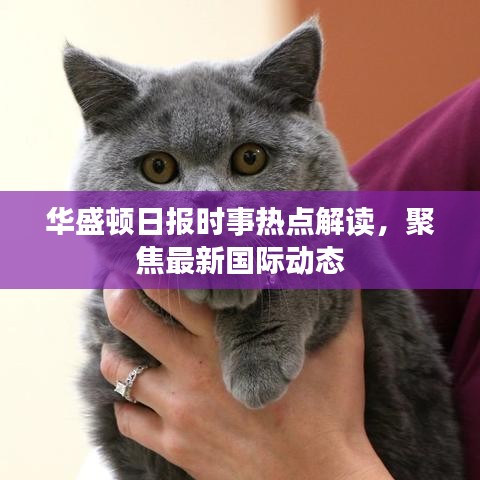 华盛顿日报时事热点解读，聚焦最新国际动态