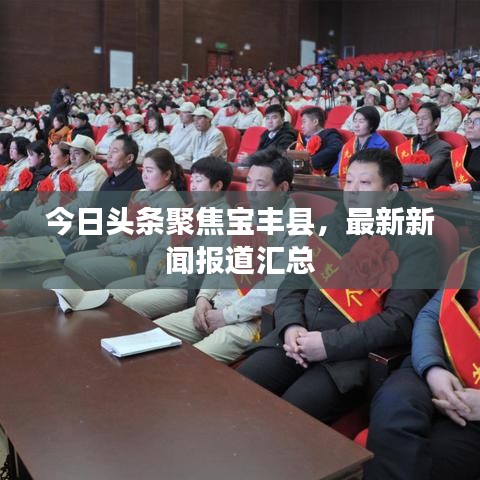 今日头条聚焦宝丰县，最新新闻报道汇总