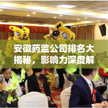 安徽药监公司排名大揭秘，影响力深度解析