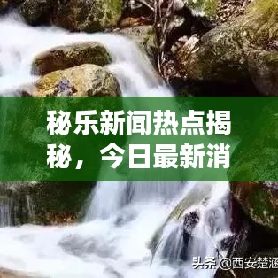 秘乐新闻热点揭秘，今日最新消息与动态速递