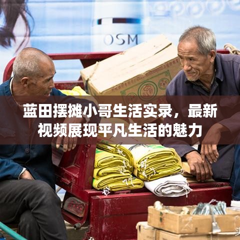 蓝田摆摊小哥生活实录，最新视频展现平凡生活的魅力