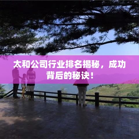 太和公司行业排名揭秘，成功背后的秘诀！