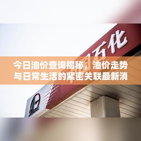 今日油价查询揭秘，油价走势与日常生活的紧密关联最新消息