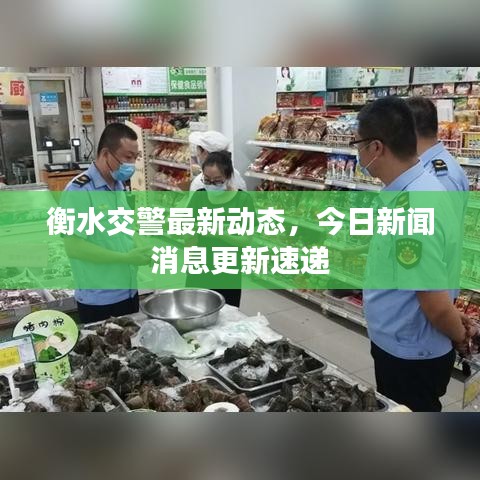 衡水交警最新动态，今日新闻消息更新速递